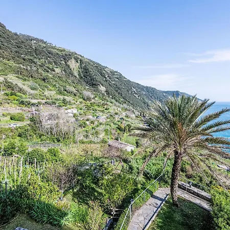 Marienkaefer By Interhome Appartamento Corniglia